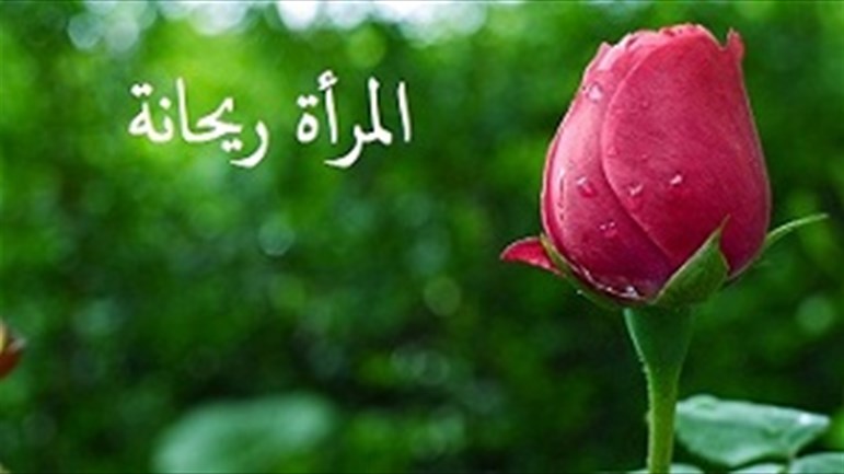 الإمام علي(ع) والمرأة