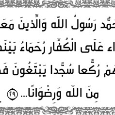 صورةُ المجتمعِ الإسلاميّ: الرَّحمة للمؤمنين والشّدَّة للأعداء